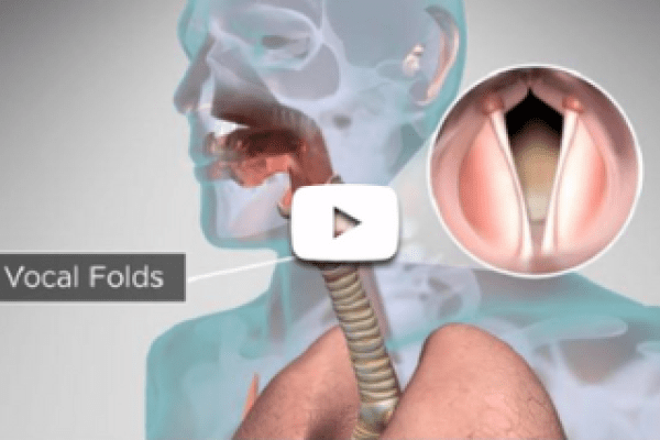 A video titled, “How does our body produce voice and speech?”