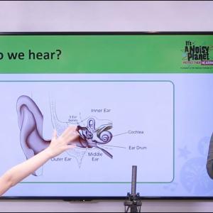 Sceenshot from the "How do we hear" video. A presentation of the inner ear is on a screen.