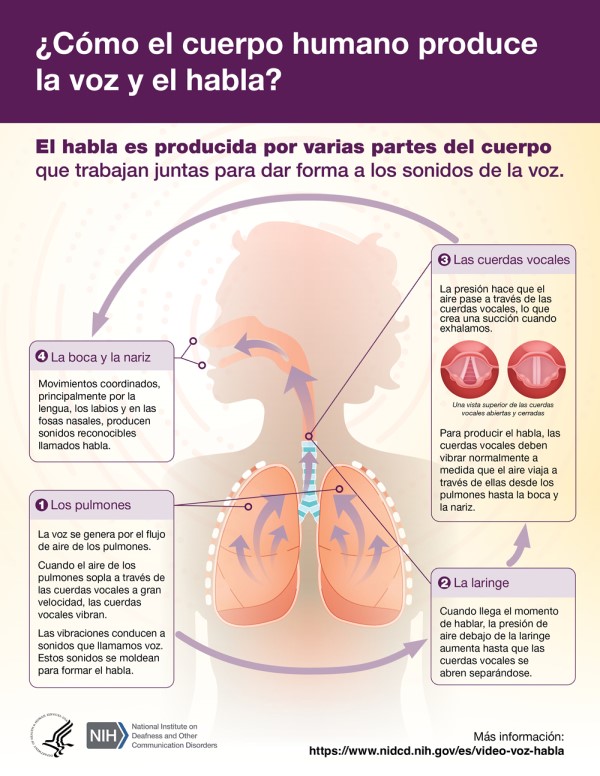 ¿Cómo el cuerpo humano produce la voz y el habla?